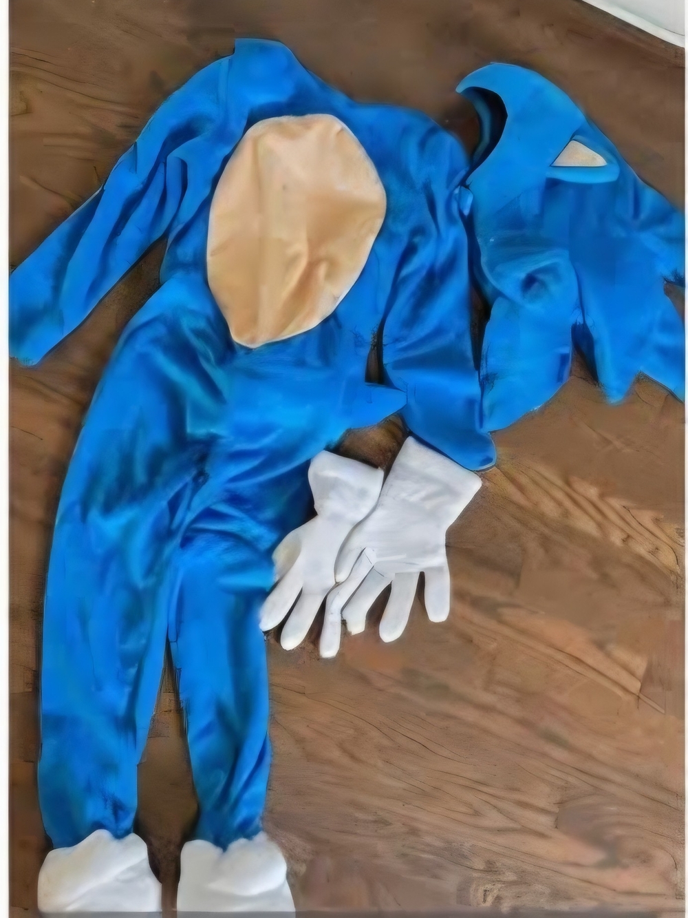 Sonic the Hedgehog Costume